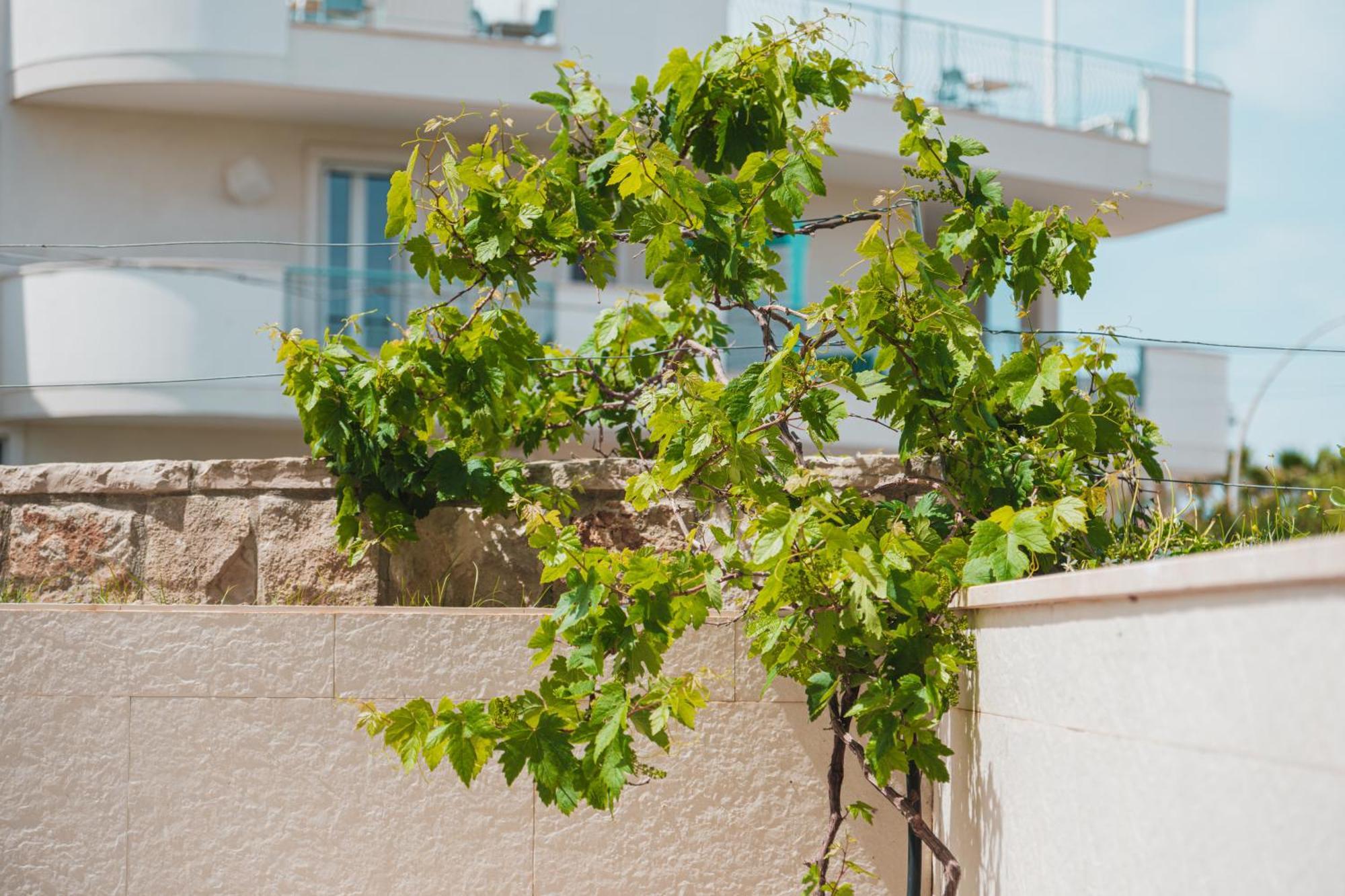 La Casa Di Dodo Apartamento Polignano a Mare Exterior foto